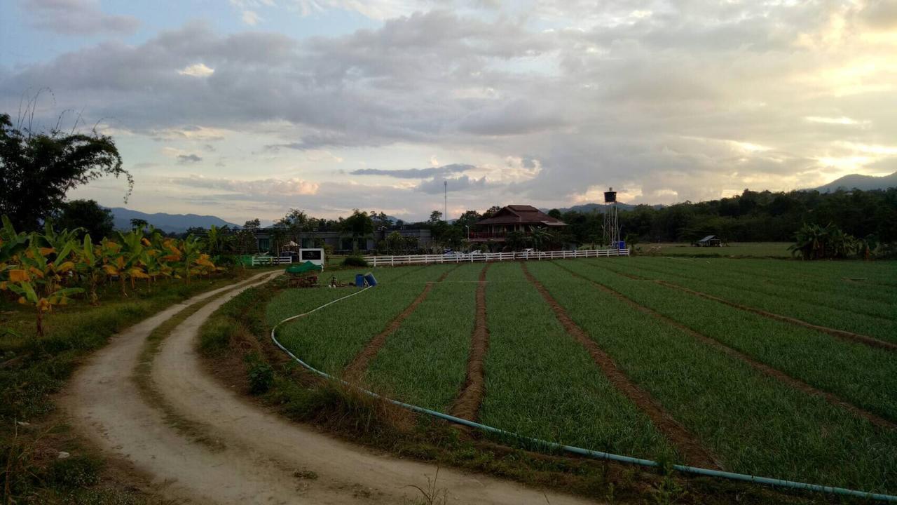 Aether Pai Villa Bagian luar foto