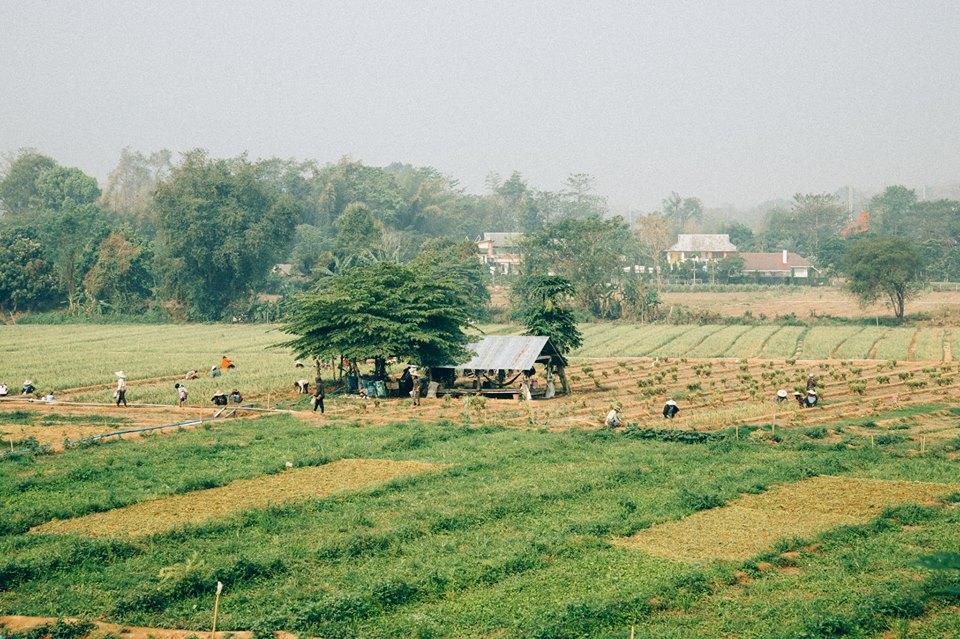 Aether Pai Villa Bagian luar foto